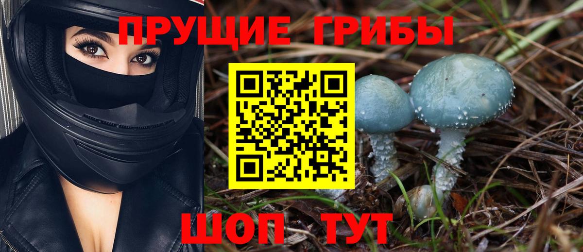 Галлюциногенные грибы мухоморы Благодарный